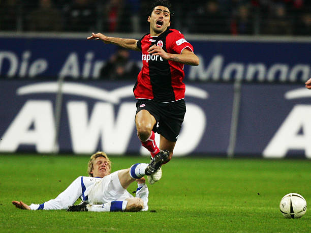 的全面数据 的全面数据