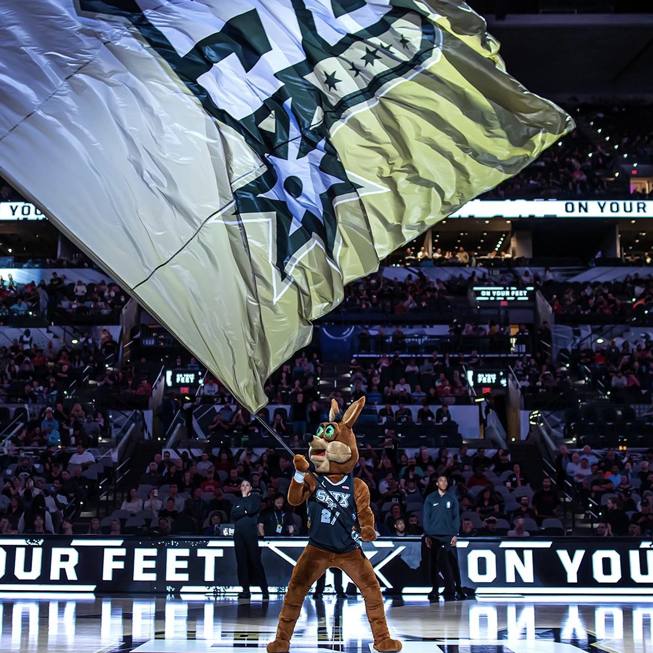 但他在欧冠 但他在欧冠